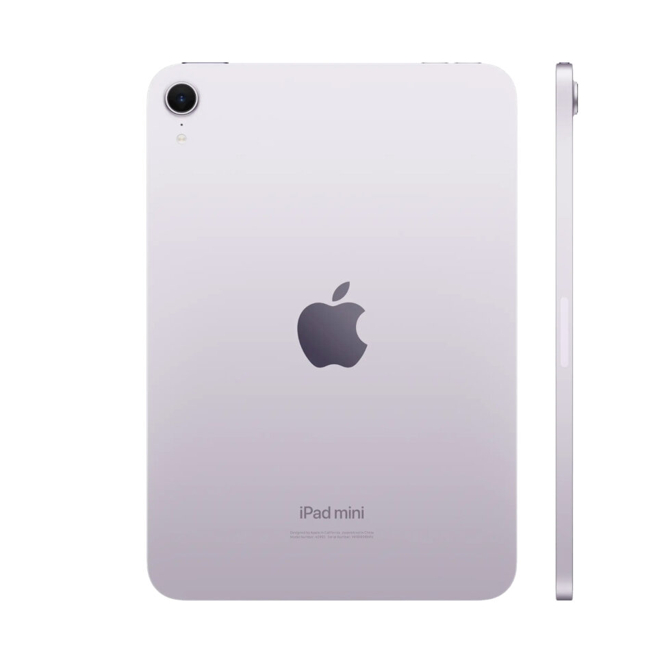 iPad mini 7 256GB Purple